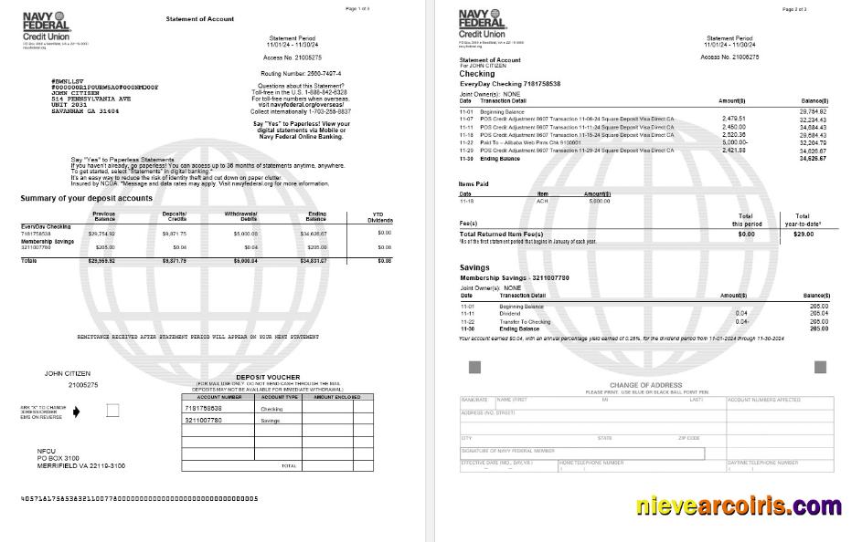USA Navy Federal bank statement, 3 pages
